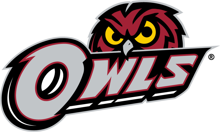 Temple Owls 2014-2020 Secondary Logo v3 iron on transfers for clothing